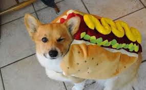 hotdog12